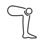 orthopedics