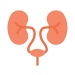 urology
